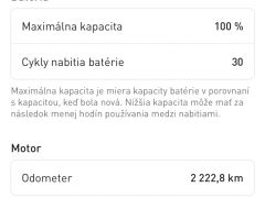 Specialized turbo levo