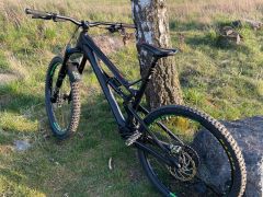 Intense tracer 275 Carbon