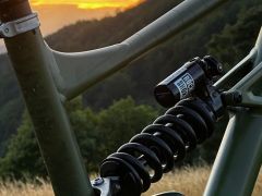 Specialized status 160