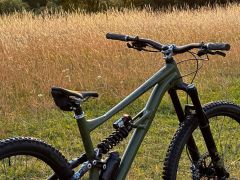 Specialized status 160