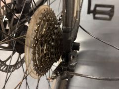 Marin Bobcat Trail 29er XL
