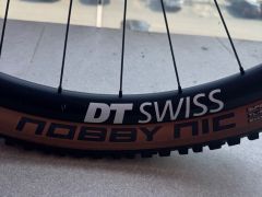 Predam canyon neuron cf 9