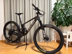 Santa Cruz Tallboy C, L
