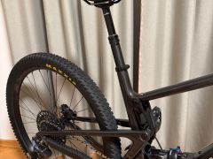 Santa Cruz Tallboy C, L