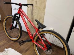 Specialized P3 Custom