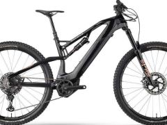 Ultralahky ebike Raymon Airray 12