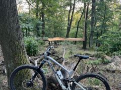 Radon Slide Trail 9.0 2024 Carbon