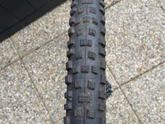 Zapletené kolo Dt-Swiss