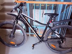 CTM Charisma 3.0 2025