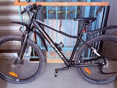 CTM Charisma 3.0 2025