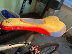 Colnago Hoskar Selle San Marco