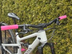 Canyon Spectral 125 CF 7 - Custom