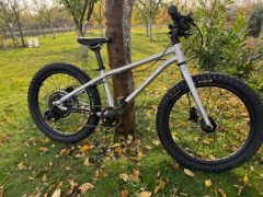 Early Rider Seeker 20 Brushed