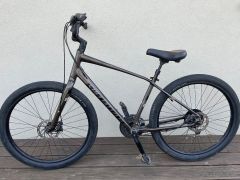 Specialized Roll Elite
