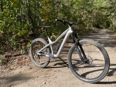Dartmoor Hornet Pro L  29/27,5