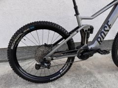 Rose Root Miller Plus 2 Mullet