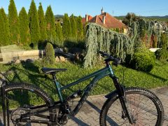 Kellys thorx 50 2025