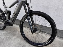 Rose Root Miller Plus 2 Mullet