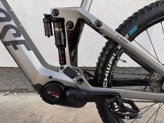 Rose Root Miller Plus 2 Mullet