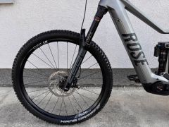 Rose Root Miller Plus 2 Mullet