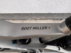 Rose Root Miller Plus 2 Mullet