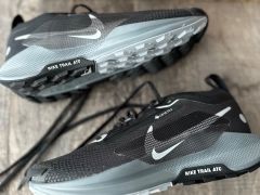 Nike Pegasus Trail 5 Gore Tex