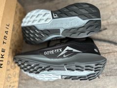 Nike Pegasus Trail 5 Gore Tex