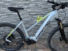 Corratec X-Vert Race Trinity Tube Gent