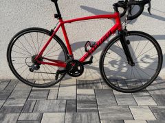 Specialized Allez (Claris)