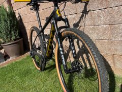 Scott scale axs