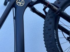 Canyon Dude CF Karbon
