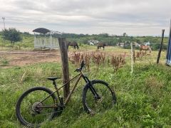 Orbea Laufey Hltd