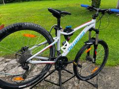 Specialized