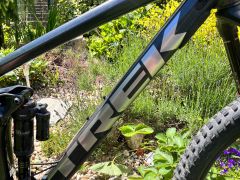Trek Remedy 8