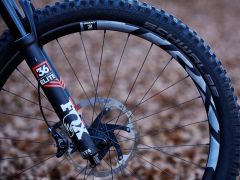 Giant reign advanced 1