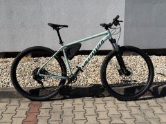 Specialized Rockhopper Comp 29 2022