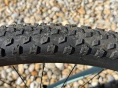 Specialized Rockhopper Comp 29 2022