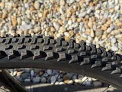 Specialized Rockhopper Comp 29 2022