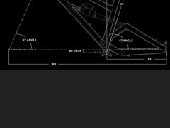 Dartmoor Blackbird 29 L