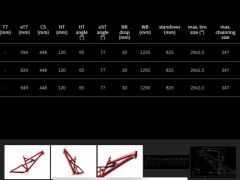 Dartmoor Blackbird 29 L 2022