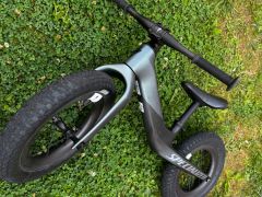 Specialized Hotwalk carbon