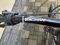 Specialized Enduro Expert 29