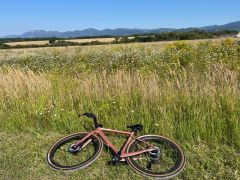 Cervélo Áspero 5 GRX Rx815 Di2, Rose Champagne