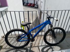 CTM Dirtking