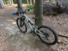 Canyon torque 5 M mullet