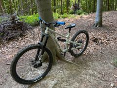 Canyon torque 5 M mullet