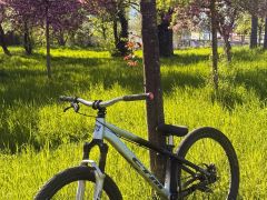 CTM Dirtking PRO