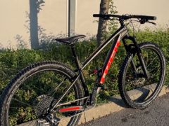 Trek Roscoe 8