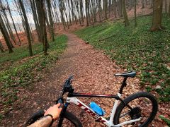 Trek Procaliber 9.8 2021