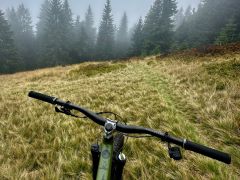 Specialized status 160